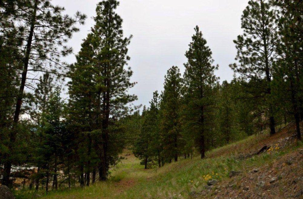 Baergnaescht B&B Osoyoos Ngoại thất bức ảnh
